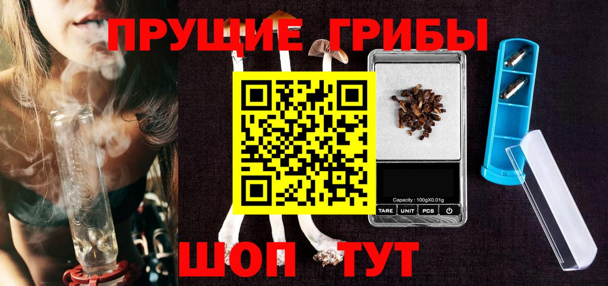 Ессентуки  Галлюциногенные грибы Psilocybe  Вход с VPN 