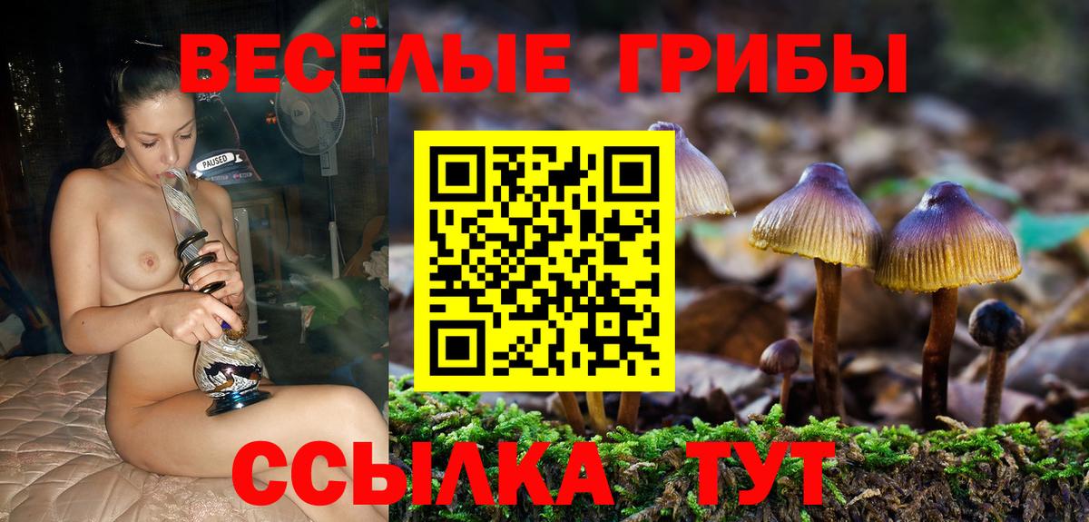 Псилоцибиновые грибы прущие грибы Ессентуки